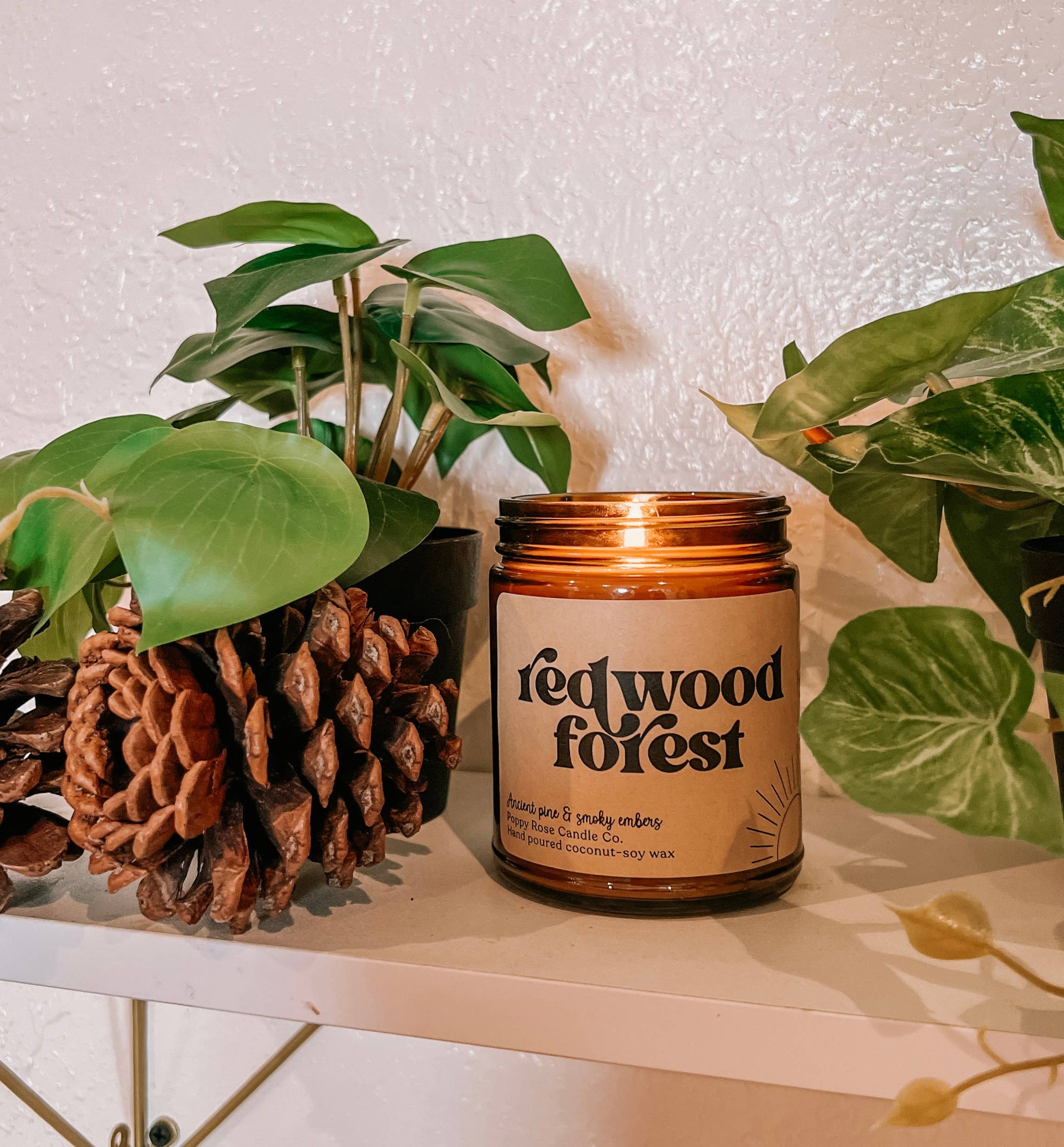 Redwood Forest 8 oz coconut wax amber jar candle